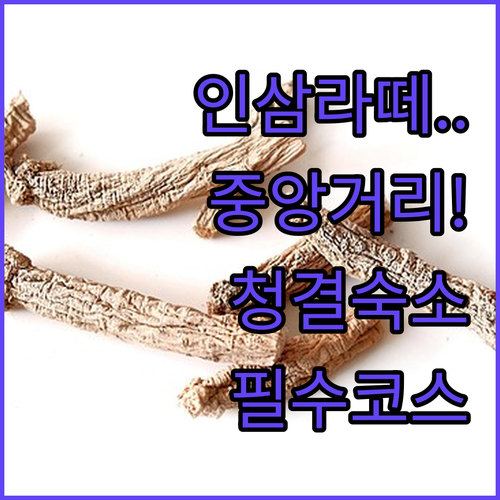 금산중앙거리 인삼 라떼 카페 투어와 깨끗한 추천 숙소 리스트 후기