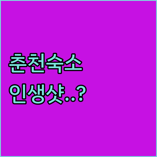 춘천 숙소 추천 레고랜드 호텔부터 감성 료칸까지 5곳 특징 비교 분석