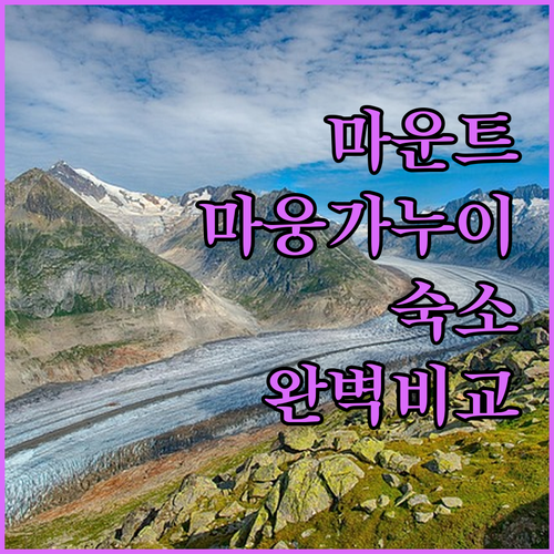 마운트 마웅가누이 인기 호텔 아파트먼트 비교 사진과 실제 투숙후기 정리