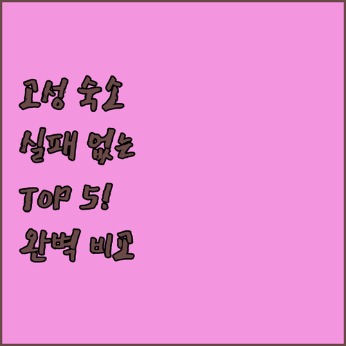 강원도 고성 숙소 추천 TOP 5 금강산콘도 민박 펜션 비교 분석 위치 장점 후기 정리