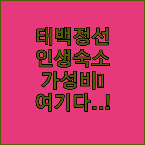태백 정선 여행 숙소 추천 5곳 가격 특징 부대시설 가성비 후기 비교 정리