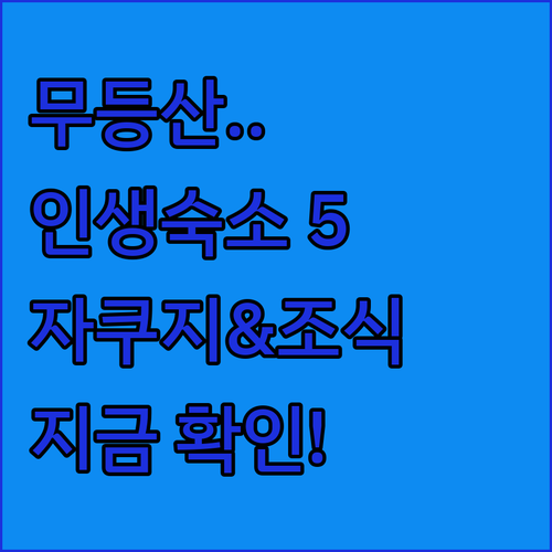 광주 무등산 근처 숙소 5곳 위치 장점 실제 후기 비교 자쿠지 조식 시설 알아보기