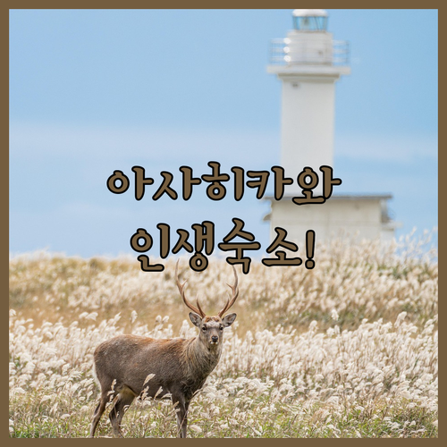 image d5a39792