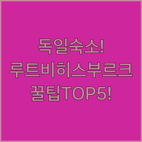 독일 루트비히스부르크 숙소 추천 TOP 5 위치 장점 후기 분석 및 시설 알아보기
