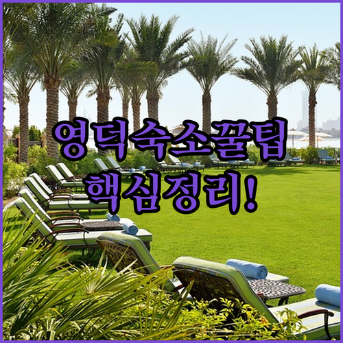 영덕 포항 호텔 리조트 모텔 비교 가족 커플 힐링 여행 숙소 추천