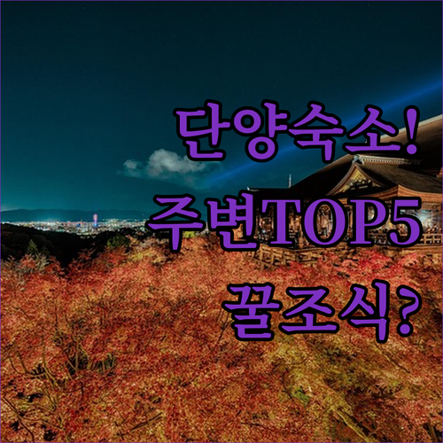 단양사찰 주변 숙소 추천 TOP 5 위치 장점 후기 분석 조식 시설 알아보기