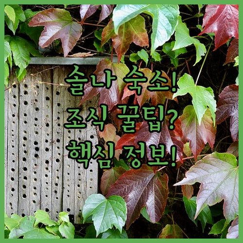 image 930a7502