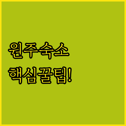 원주 여행 숙소 추천 굿스 캐슬 조이 카카오 로또 가격 위치 장점 비교 분석
