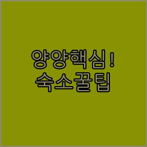 image ffdd9834